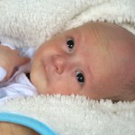 IMG_0626